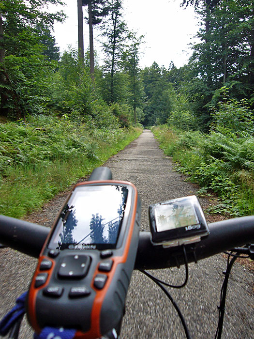 Schw&uuml;lfeuchtes Wetter macht das Fahren nicht einfach
