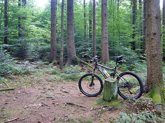 Auf einmal ist der Weg zuende