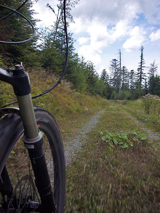 Hier geht es wieder weiter