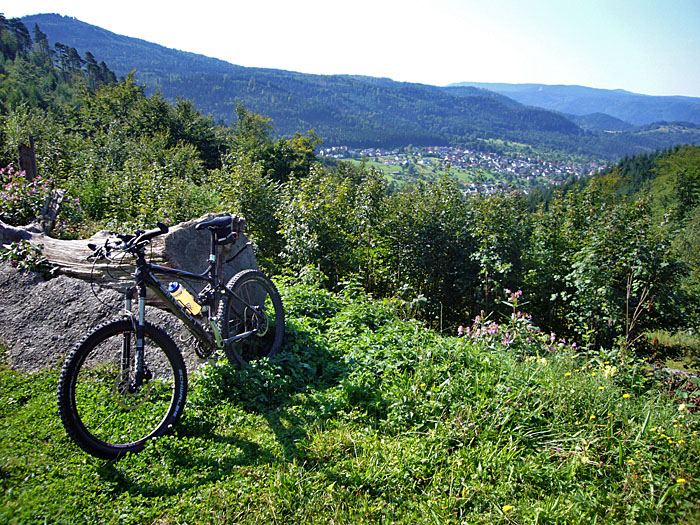 Am K&auml;ppele: Blick auf Loffenau