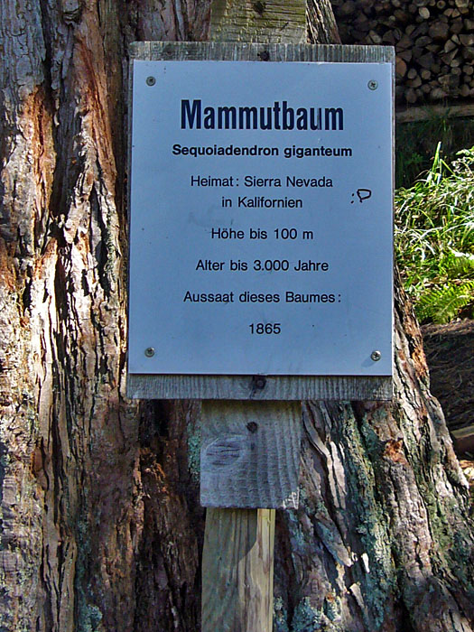 Leider ist nur noch einer &uuml;brig ...