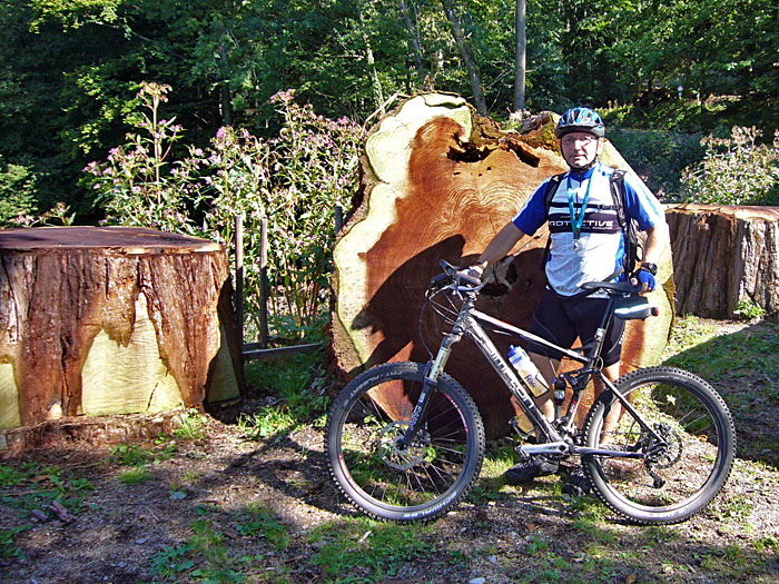 ... die anderen beiden Mammutb&auml;ume wurden gef&auml;llt :-(