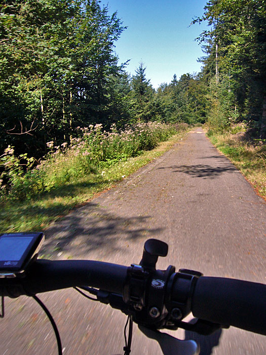 Auf dem Albtalradweg