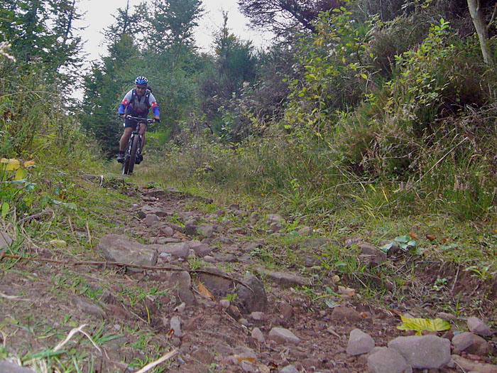 Reini am Bernbacher Steigle