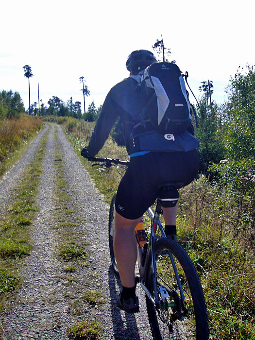 Waldi f&auml;hrt gegen die Sonne ;-)