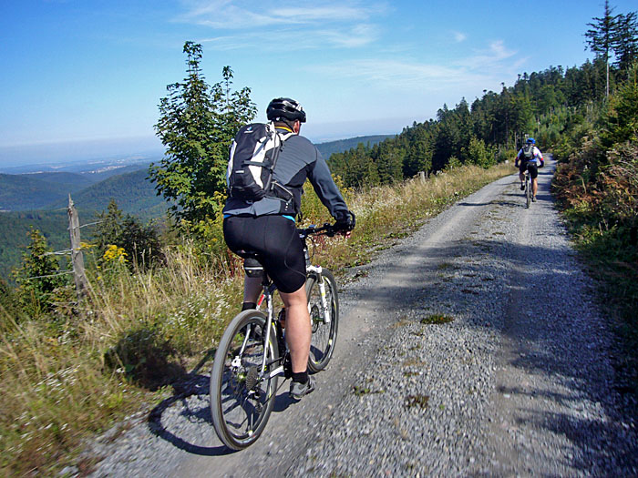 Zuerst d&uuml;sen wir auf breiten Wegen ...