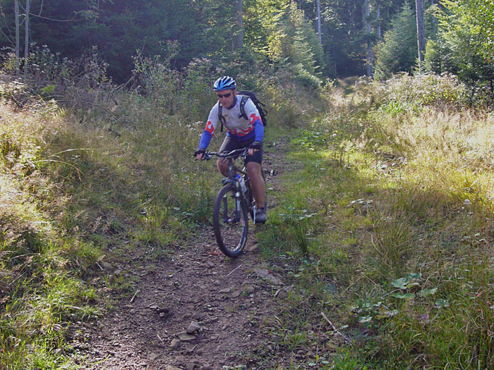 ... dann werden die Pfade schmaler ...