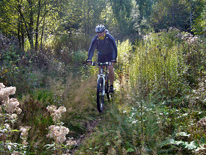 ... und die Vegetation dichter