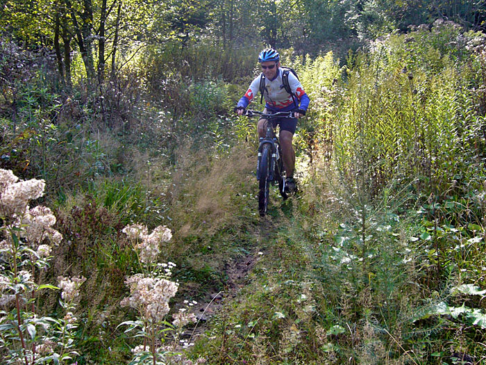 Net lache, Gas gebbe ;-)