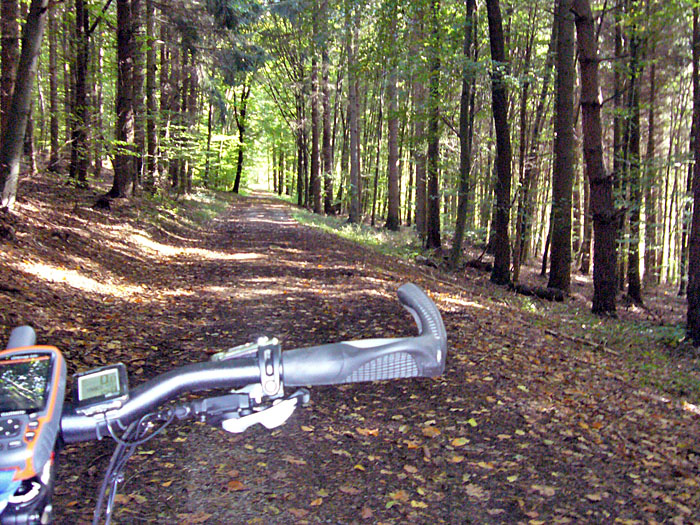 Durch den dunklen Wald ;-)