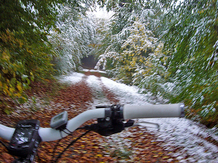 Noch sind die Waldwege nicht v&ouml;llig schneebedeckt