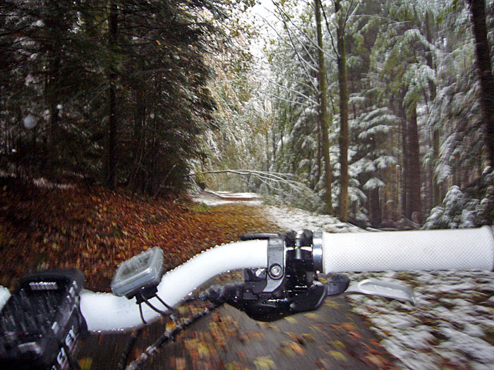 Viele B&auml;ume neigen sich &uuml;ber den Weg, so wie der dort vorn