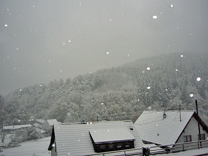 B&auml;ume und Hausd&auml;cher sind wei&szlig;