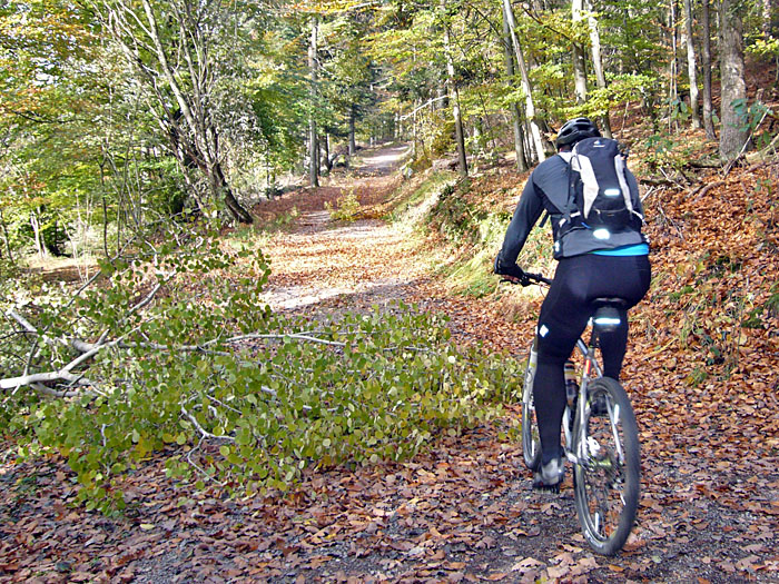 An der "Alten Bernbacher Steige"