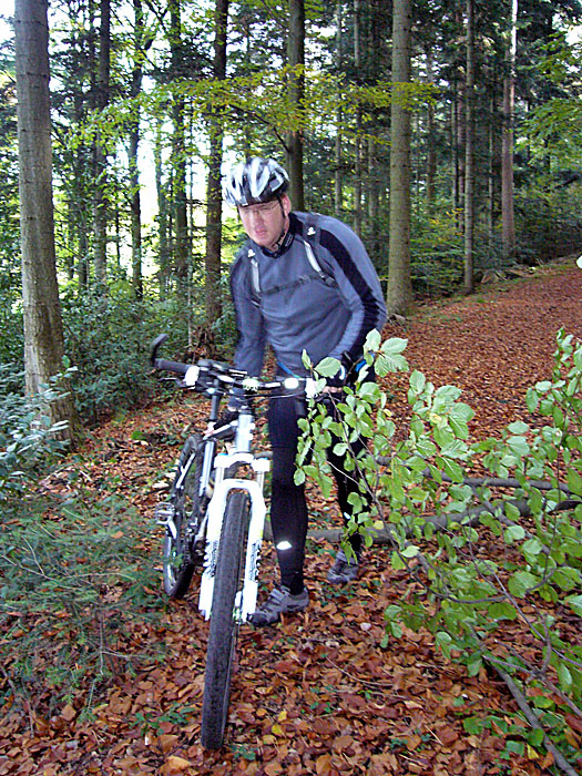 &Uuml;berall Schneebruch vom letzten Wochenende