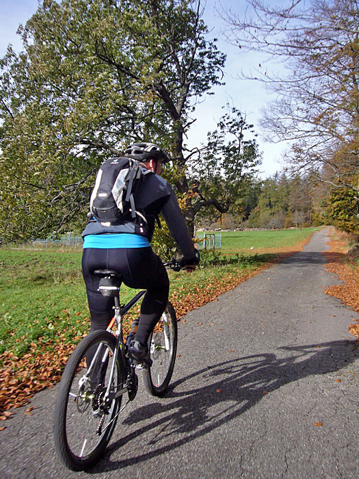 Zur Abwechselung mal freie Fahrt