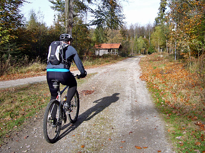 Auf der Waldautobahn