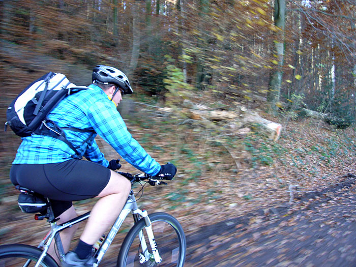 Waldi in voller Fahrt