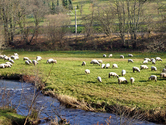 Die "M&auml;dels" im Wollpullover ;-)