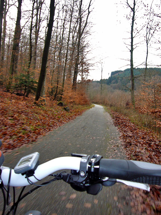 Das letzte Mal war noch Laub an den B&auml;umen