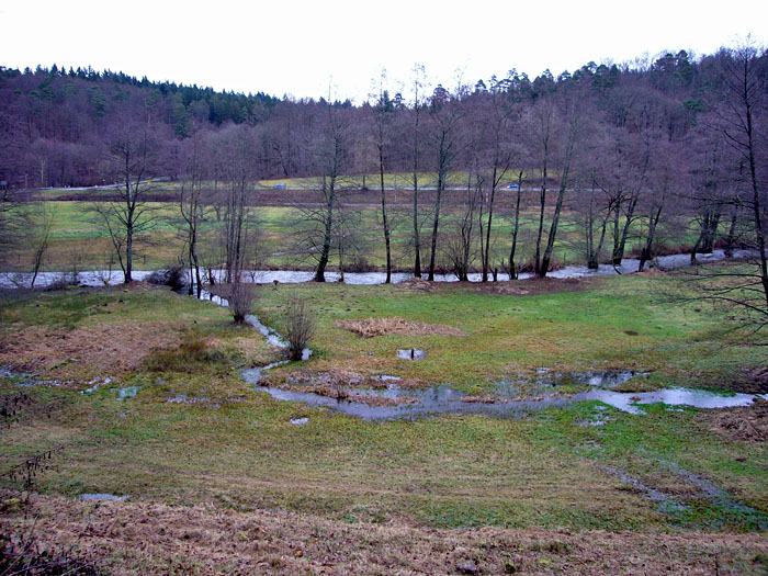 Durch den vielen Regen der letzten Tage, sind die Wiesen &uuml;berschwemmt