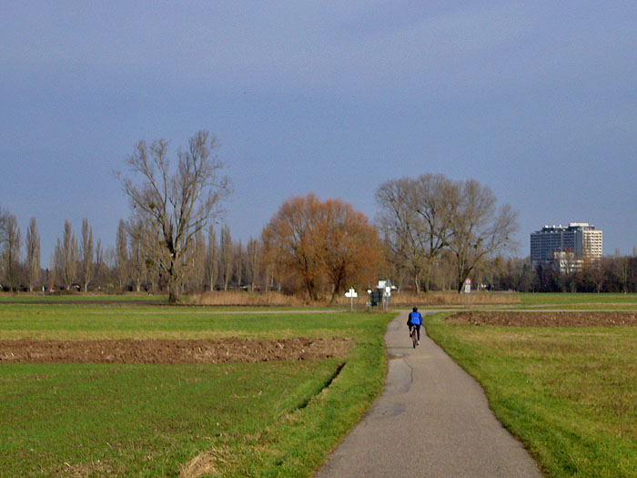 R&uuml;ppurr in Sicht