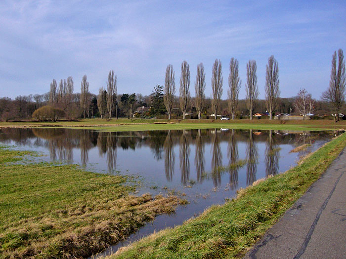 Die Senken sind &uuml;berschwemmt