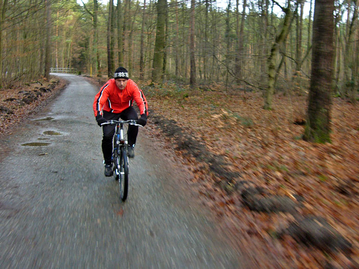 Durch den Wald zwischen KIT und Eggenstein