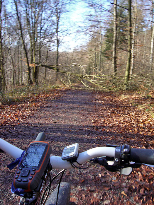 Augen zu und durch ;-)