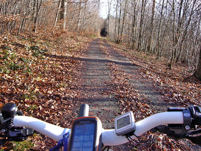 Endlich mal wieder halbwegs gutes Wetter ...