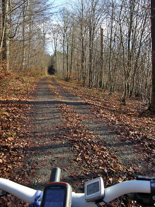 ... und Sonnenschein