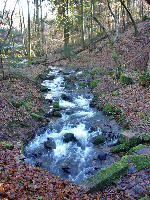 Schmelzwasser aus dem Schwarzwald ;-)