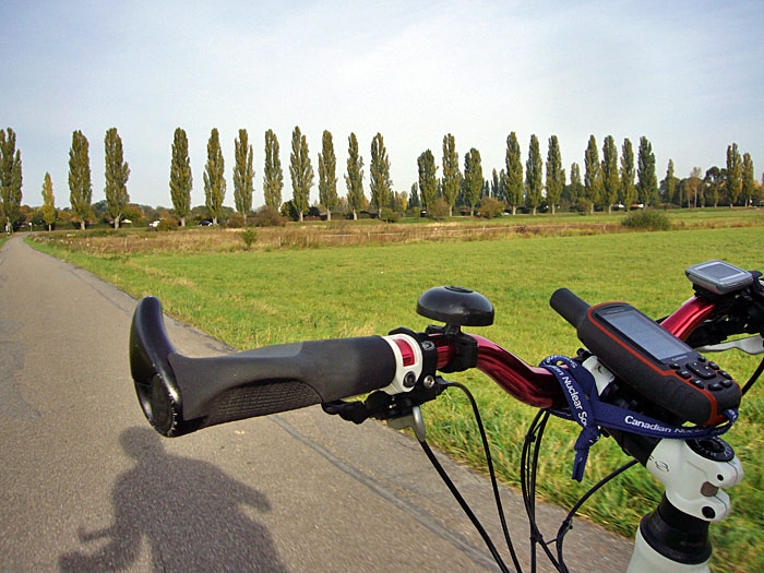 Pappelallee bei den Albniederungen