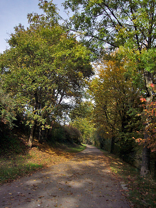Herbstliche B&auml;ume an der Alb