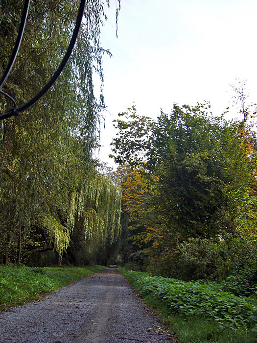 Herbstliche B&auml;ume an der Alb