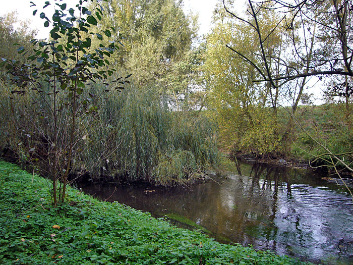 Weide &uuml;ber der Alb