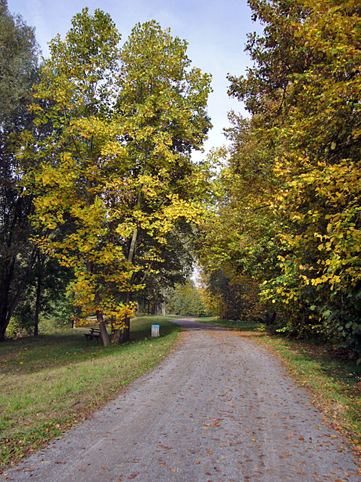 Weg zur Rheinbr&uuml;cke