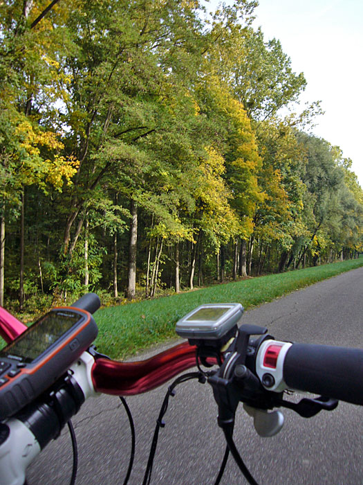 Buntes Laub am Rheindeich