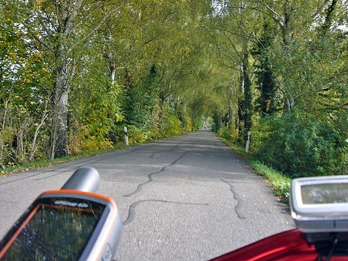 Umweg &uuml;ber eine Allee