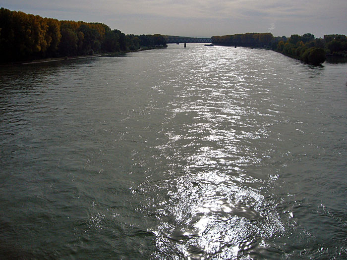 Blick von der Germersheimer Rheinbr&uuml;cke