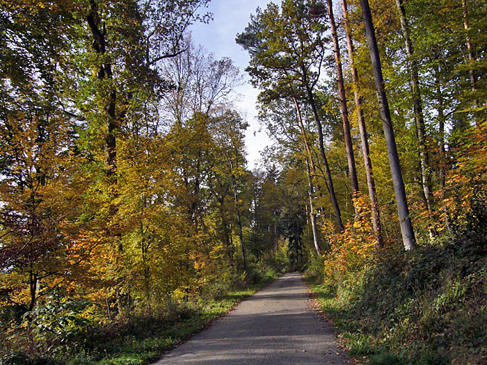 Weg zwischen Kleinsteinbach und Thomashof