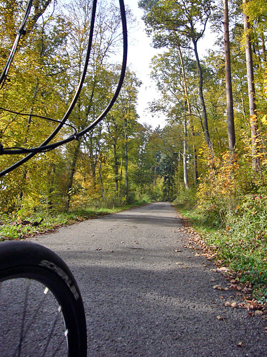 Weg zwischen Kleinsteinbach und Thomashof