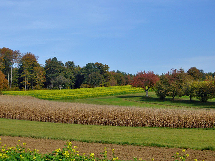 Herbstlich bunte Landschaft