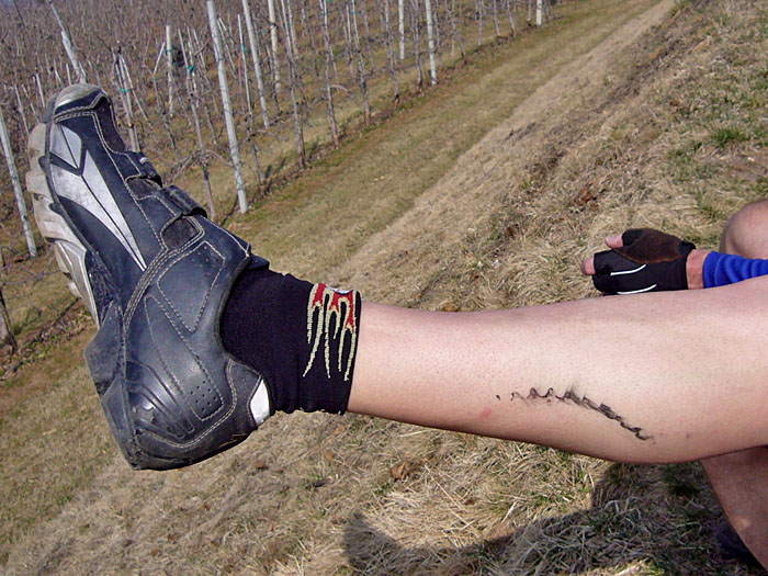 Bj&ouml;rns "Tattoo"