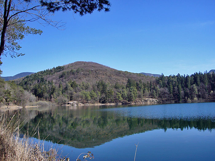 Jetzt fehlt nur noch das frische Gr&uuml;n