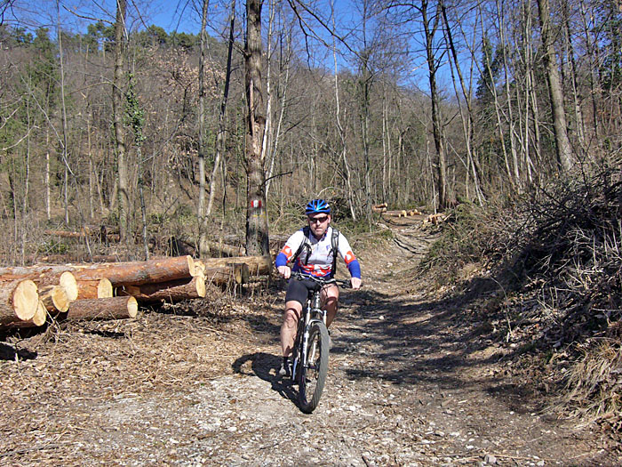 Kurzzeitig freie Bahn ...