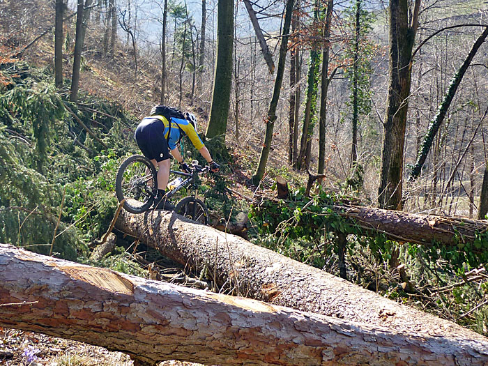 ... bis das n&auml;chste Hindernis kommt