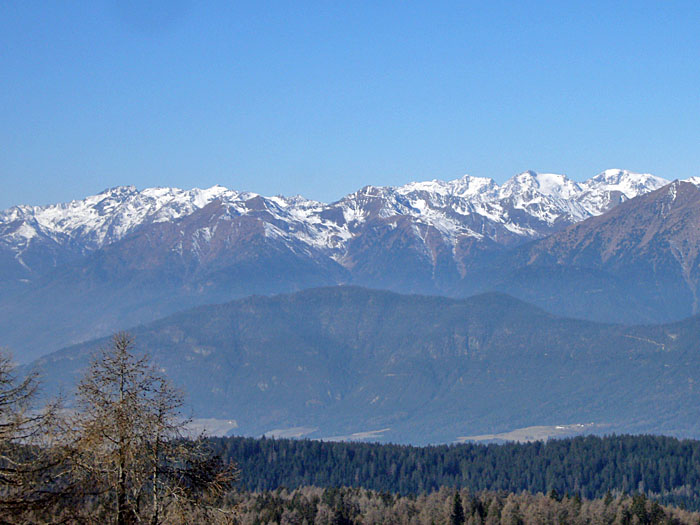 Blick zur Ortlergruppe