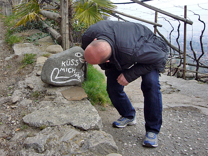 Als Reini die Prinzessin k&uuml;sste, verwandelte die sich in einen Frosch ;-)