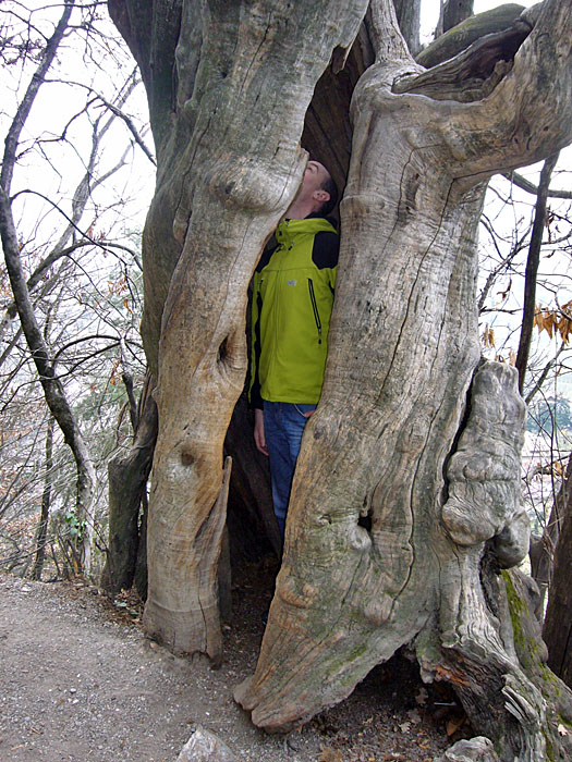 Ein Bio-Gef�ngnis? ;-)